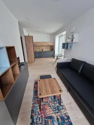 a living room with a black couch and a coffee table at Jaukus butas Pašilaičiuose in Vilnius