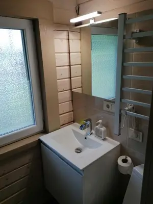 a bathroom with a sink and a mirror at Jaučio apartamentai in Leliūnai