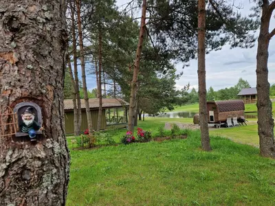 a picture of a child in a hole in a tree at Jaučio apartamentai in Leliūnai