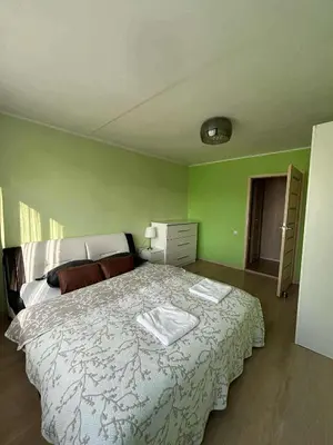 a bedroom with a large bed and green walls at ROŽĖS BUTAS Apartment in Raseiniai