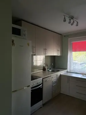a kitchen with a white refrigerator and a sink at ROŽĖS BUTAS Apartment in Raseiniai