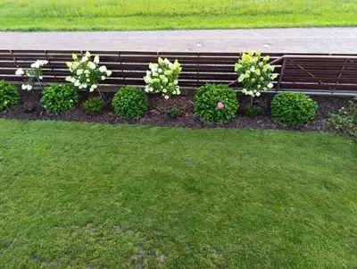 a bench with white flowers in a garden at Pas Alksnius in Šiaudinė