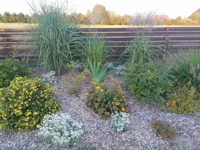 a garden with many different types of plants at Pas Alksnius in Šiaudinė