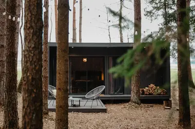 a house in the woods with two chairs in the forest at Miško terapija in Kriviliai