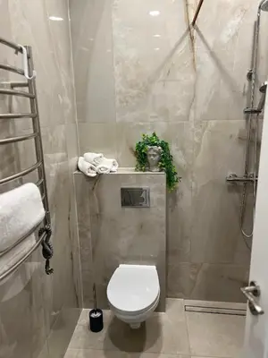a bathroom with a toilet and a shower at Chic Residence apartament 4 in Šiauliai