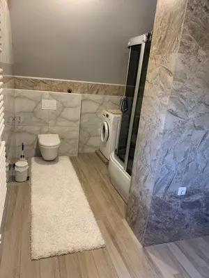 a bathroom with a shower and a toilet and a tub at Green Garden Apartments in Kaunas