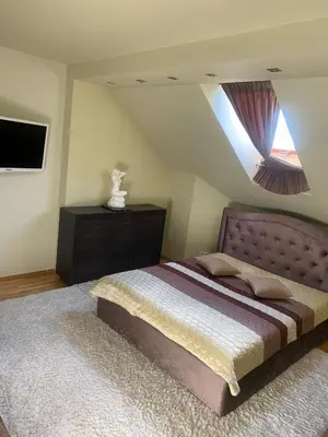 a bedroom with a large bed and a television at Green Garden Apartments in Kaunas