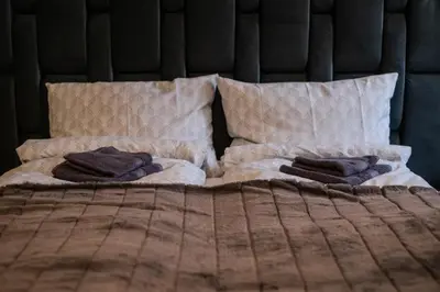 a bed with two pillows on top of it at Old Town - Bajor Studios 2 - Self Check-in and Parking in Kaunas