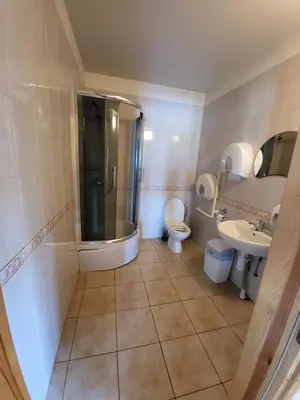 a bathroom with a shower and a toilet and a sink at Vytauto kaimas - Didelis namas in Aukštadvaris