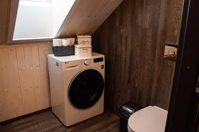 a washer and dryer in a small bathroom at Sodyba Divaiva in Anykščiai