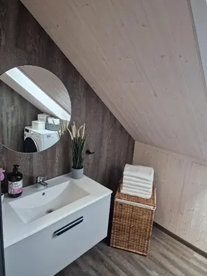 a bathroom with a white sink and a mirror at Sodyba Divaiva in Anykščiai