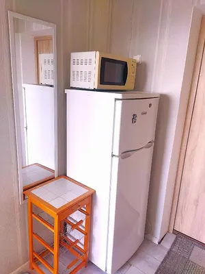 a microwave sitting on top of a refrigerator at Itaja apartment 49 in Šiauliai