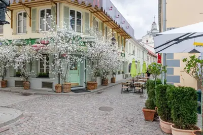 a cobblestone street in a city with flowering trees at Classic Apartments In The Prestigious Stikliu Str by Reside Baltic in Vilnius