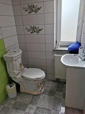 a bathroom with a toilet and a sink at Poilsio namai Aerodromas in Bajorai