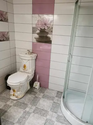 a bathroom with a toilet and a shower at Poilsio namai Aerodromas in Bajorai