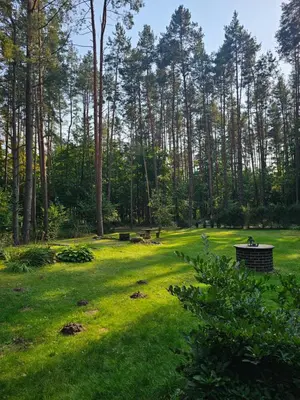 a park with green grass and trees in the background at Margirio namas in Birštonas