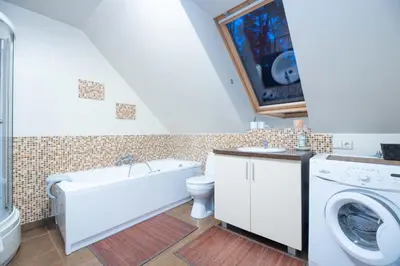 a bathroom with a toilet and a washing machine at Margirio namas in Birštonas