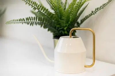a white lamp on a table next to a plant at Raugyklos apartamentai in Vilnius