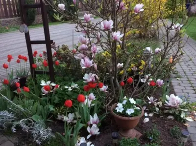 a flower garden with pink and white flowers at Cottage with fireplace and sauna in Pakalniškės