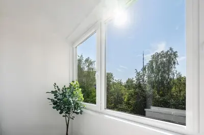 a window in a white room with a potted plant at GoldenHugo rooms in Vilnius