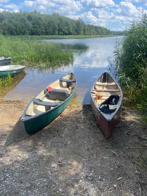 two boats sitting on the shore of a lake at Pas Žuvelį in Stariai