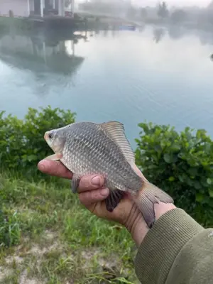 a person holding a fish in their hand near a body of water at Pas Žuvelį in Stariai