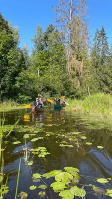 a group of people kayaking on a river with lilies at Pas Žuvelį in Stariai