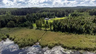 an aerial view of a lake with trees and a house at Meldai in Pabradė