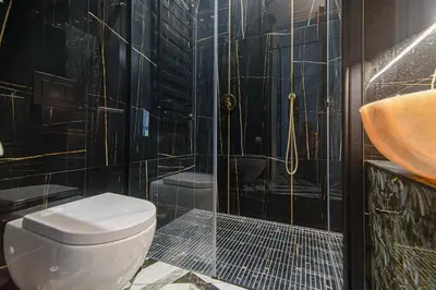 a bathroom with a toilet and a shower and a sink at Apartment Gedimino 22 in Vilnius
