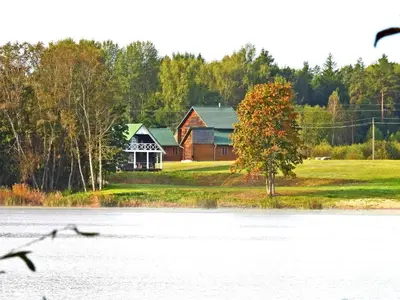 a house with a tree and birds flying over a lake at Villa Erbrua in Obeliai