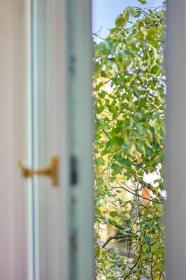 a door with a bush in front of a window at cohost I Brand New Apt, w-AC in a Central Location in Vilnius