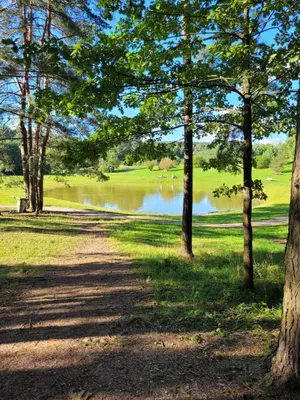a path through a park with trees and a lake at Cozy apartment Akropolis in Vilnius