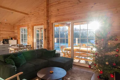 a living room with a green couch and a christmas tree at Pine Valley Villa - beautiful nature, jacuzzi, sauna, cozy log house in Inturkė