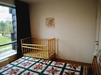 a crib in a bedroom with a window at Apartment in Druskininkai Lithuania in Druskininkai