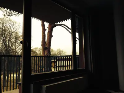a window view of a tree from a porch at Apartment in Druskininkai Lithuania in Druskininkai