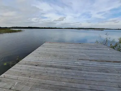 a wooden dock on a body of water at Šarkos sodyba in Miežonys