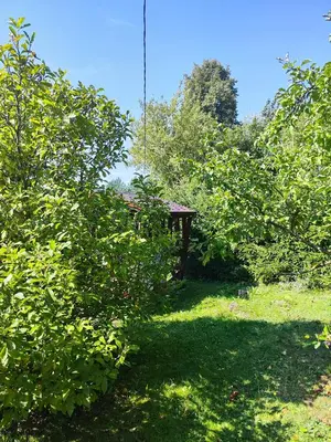 a picnic table in the middle of some trees at HOMESTAY ,,Aurora,, in Vilnius