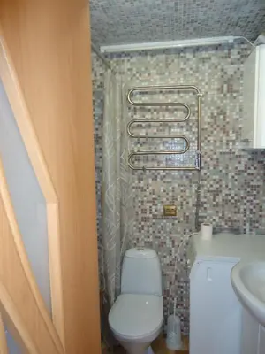 a bathroom with a toilet and a shower curtain at HOMESTAY ,,Aurora,, in Vilnius