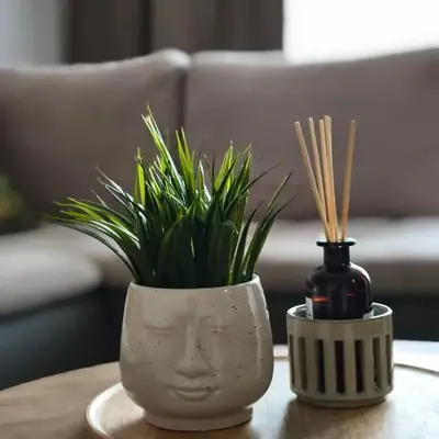 Mocha Apartment