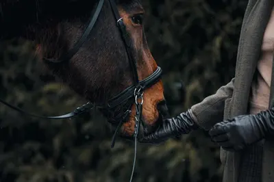 a person wearing gloves holding the nose of a horse at Gilės namai in Kaunas