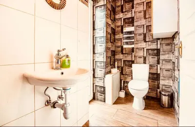 a bathroom with a sink and a toilet at Blue Hound Cottage in Kaunas