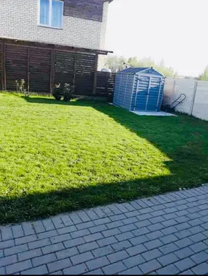 a yard with a house and a blue shed at Blue Hound Cottage in Kaunas