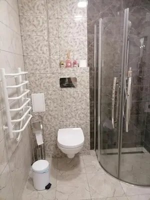 a bathroom with a toilet and a glass shower at Privatus 2kambariu butas in Birštonas