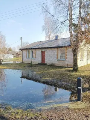 a house with a pond in front of it at Via baltica in Degėsiai