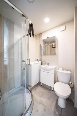a bathroom with a shower and a toilet and a sink at Thibo Apartamentas in Šiauliai
