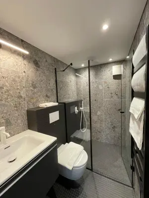 a bathroom with a shower and a toilet and a sink at Lakeview Modern Karaim Cottage Trakai in Trakai