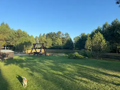 a dog standing in the grass in a yard at Pinetree House in Gudeliai