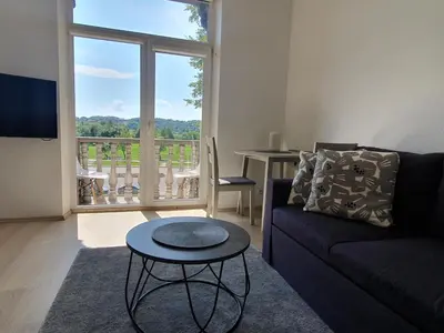 a living room with a couch and a table at Kaunas Center Apartments - K. Mindaugo g. in Kaunas