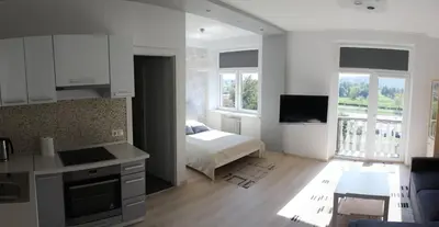 a kitchen and living room with a bed and a television at Kaunas Center Apartments - K. Mindaugo g. in Kaunas