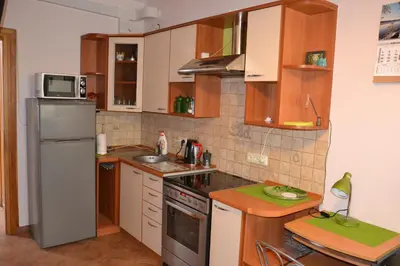 a small kitchen with a refrigerator and a sink at Danarent Apartment in Vilnius